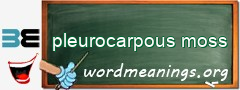 WordMeaning blackboard for pleurocarpous moss